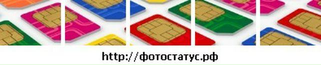 Вікі Петричкевич фотография #32 (источник - https://vk.com/id83160524)