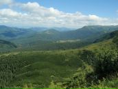 Андрій Копцюх фотография #11 (источник - https://vk.com/id5111309)