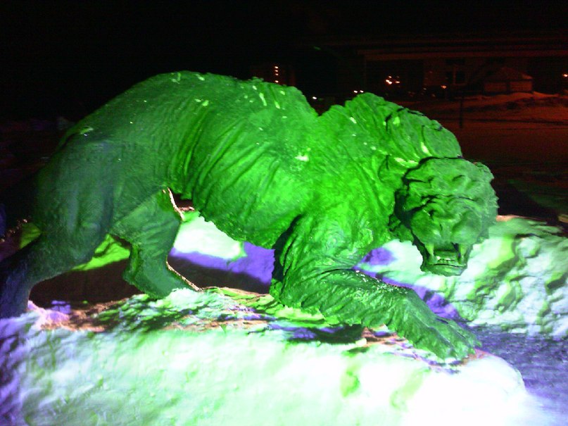 Юра Башков фотография #37