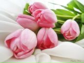 Ольга Кобзарь фотография #29 (источник - https://vk.com/id4876647)