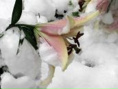 Фотография Астаховой Ирины