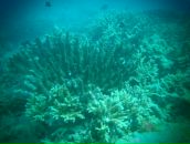 Евгений Мурышкин фотография #20 (источник - https://vk.com/id107583)