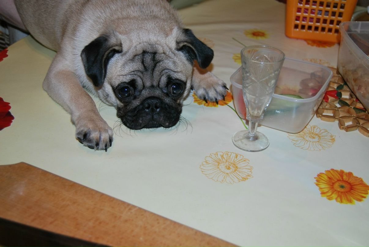 Виктор Киселев фотография #42