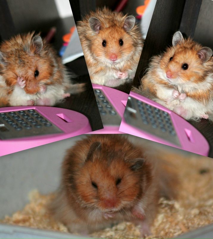 Bad Mary фотография #37