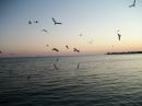 Олекса Міль фотография #30 (источник - https://vk.com/id21766526)