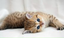 Фотография Беловой Оксаны