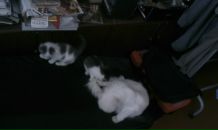 Алексей Папков фотография #40 (источник - https://vk.com/id3376131)