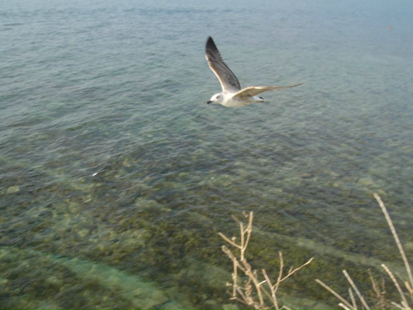 Катя Степанова фотография #11