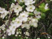 Фотография Верховой Регины