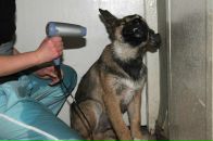 Фотография Байдаров Дмитрий