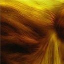 Вікусічка Любима фотография #26 (источник - https://vk.com/id54560839)