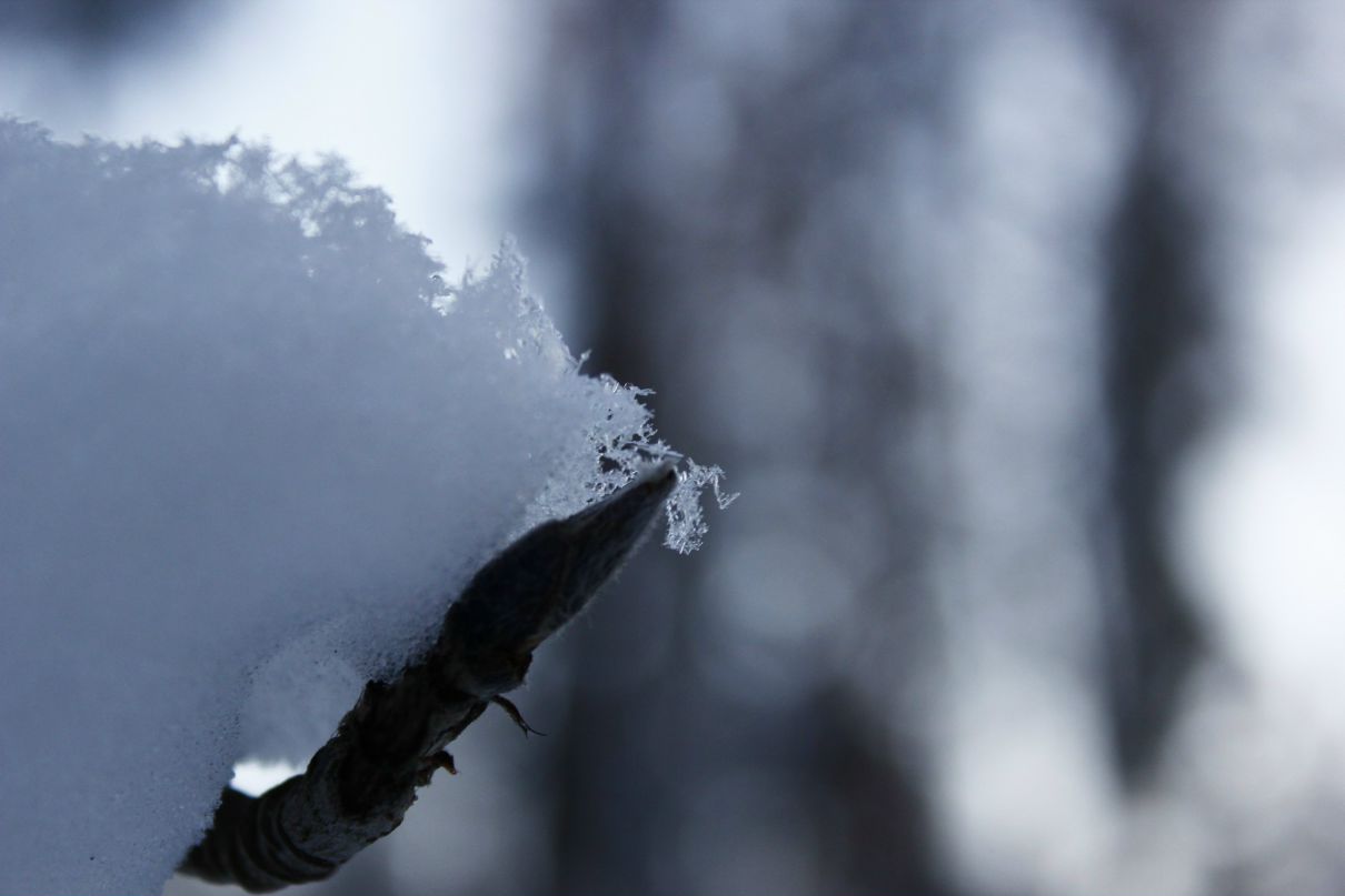 Дмитрий Удельнов фотография #44