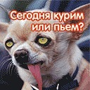 Інакентій Абдула фотография #14 (источник - https://vk.com/id137646697)