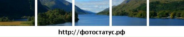 Аліна Пилипів фотография #20 (источник - https://vk.com/id38378846)