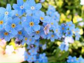 Фотография Саманенки Ирины