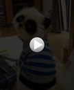 Надія Кондратюк фотография #49 (источник - https://vk.com/id168484176)