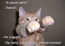 Фотография Попова Алексея