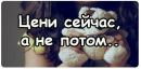 Фотография Ангелина Просто-Цыганка