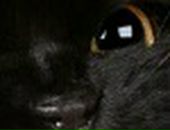 Лілюсік Калінчук фотография #38 (источник - https://vk.com/id66320175)