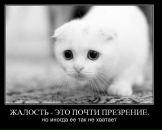 Аліна Єрмак фотография #12 (источник - https://vk.com/id88336235)