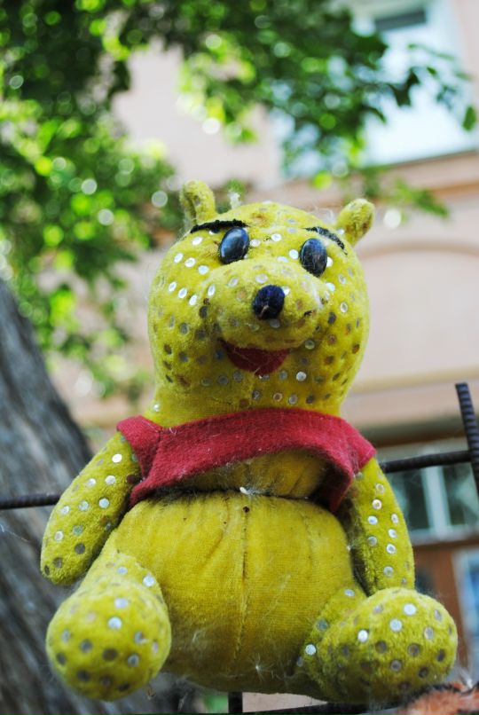 Дмитрий Волгин фотография #42