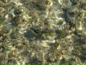 Іван Середа фотография #13 (источник - https://vk.com/id51879956)