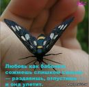 Василинка Кулиній фотография #9 (источник - https://vk.com/id155599853)
