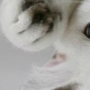 Маріан Тимофті фотография #35 (источник - https://vk.com/id134920018)