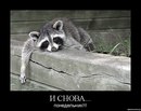 Фотография Стрельцовой Татьяны