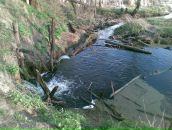 Сергій Манжура фотография #28 (источник - https://vk.com/id155292009)