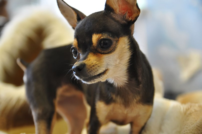 Сергей Поляков фотография #34