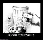 Андрей Чеснюк фотография #46 (источник - https://vk.com/id9616680)