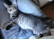 Иван Амельченко фотография #5 (источник - https://vk.com/id684343)