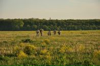 Діма Кельбя фотография #21 (источник - https://vk.com/id63222328)