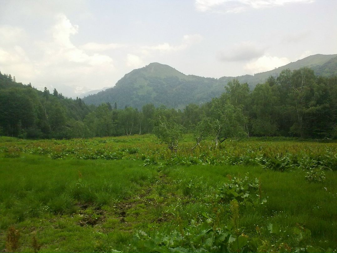 Igor Igor фотография #34