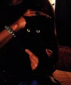 №3, Алина Кравец, Минск, Беларусь №3, Алина Кравец, Минск, Беларусь