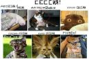 Фотография Павловой Елены