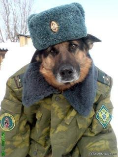 №2, Евгений Смертин, 44 года, Арбаж №2, Евгений Смертин, 44 года, Арбаж