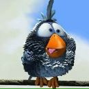 Фотография Овчинниковой Анастасии