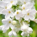 Софія Мартинюк фотография #1