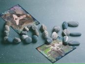 Ліка Ася фотография #24 (источник - https://vk.com/id86936281)