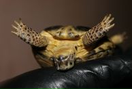 Фотография Магби Лизы