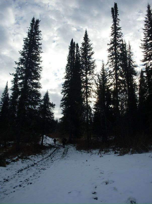 Даниил Железняков фотография #42