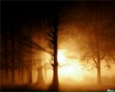 Фотография Потаповой Лидии