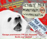 Nika Luganova фотография #34 (источник - https://vk.com/id2933334)