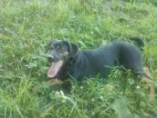 Μарина Κононова фотография #9 (источник - https://vk.com/id88100724)