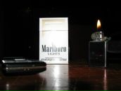 Фотография Белякова Александра