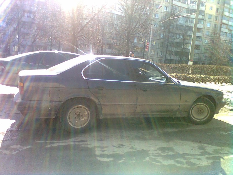 Дима Борисов фотография #15