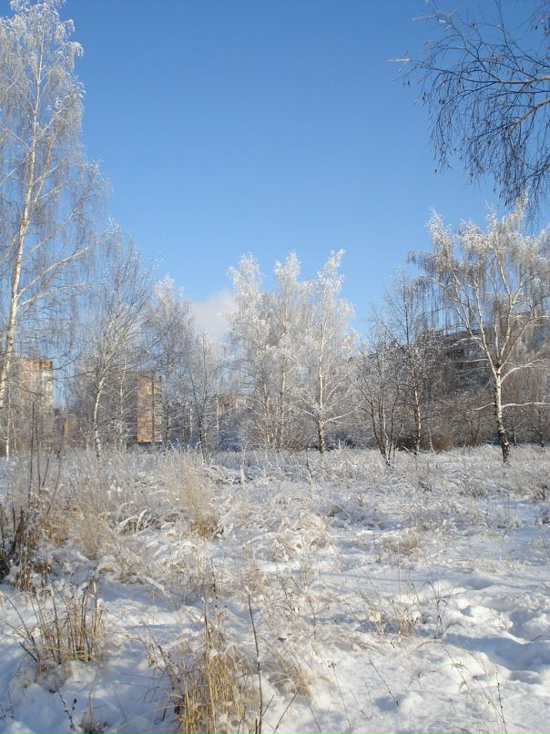 Дмитрий Лаёв фотография #26