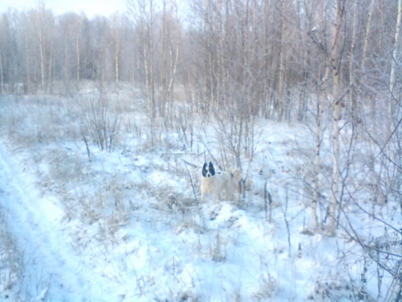 Дима Васкеев фотография #28